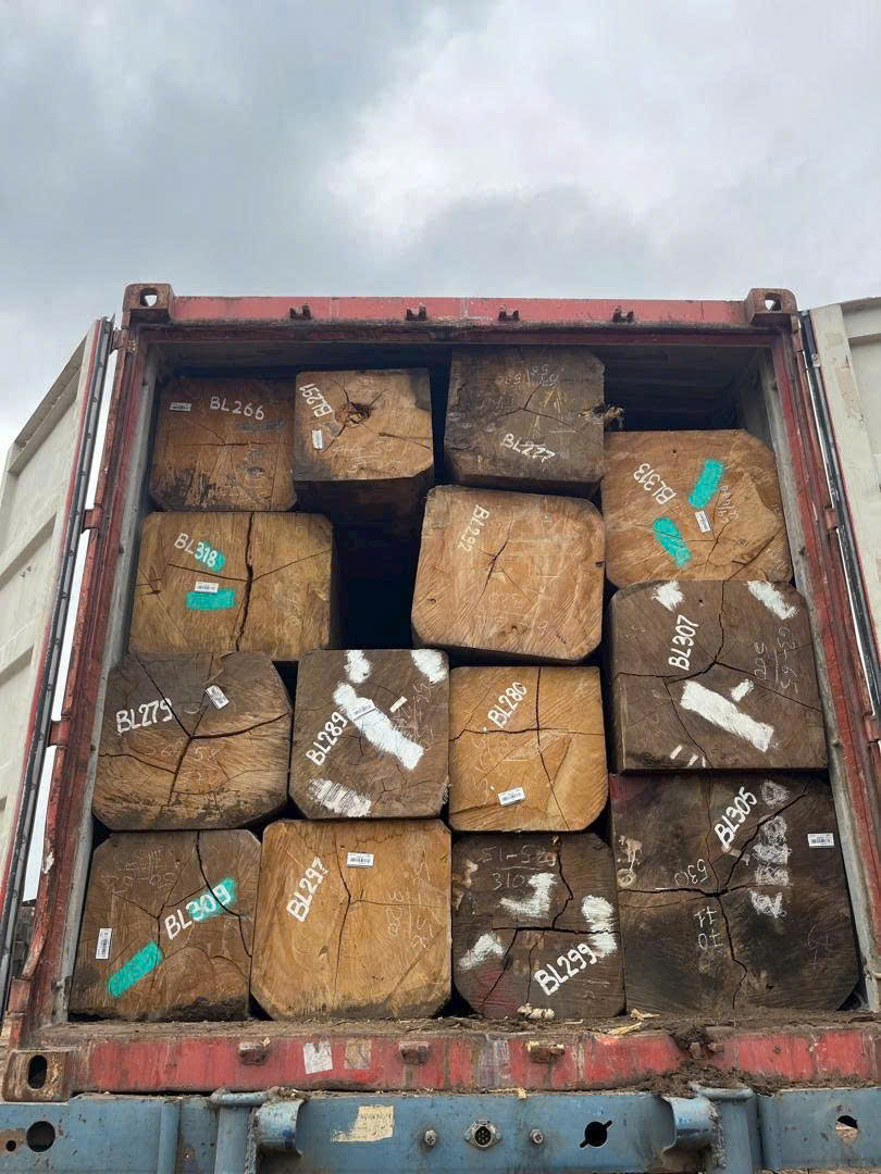 Gỗ nguyên khối và gỗ thành khí khác nhau như thế nào?