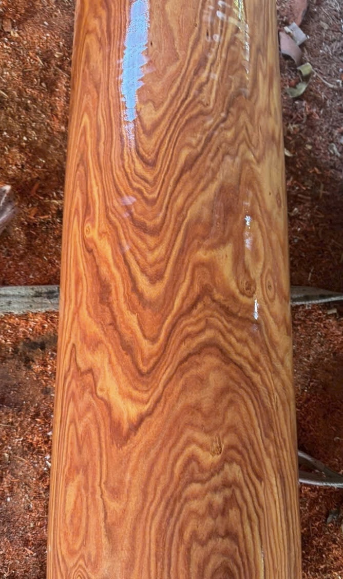 Vân gỗ Cẩm Paorosa