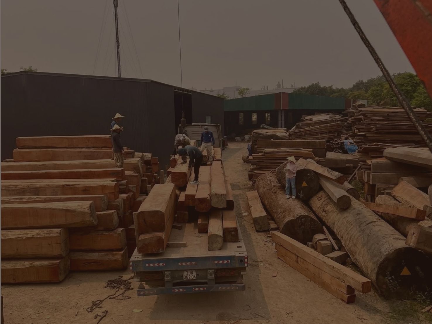 Kho gỗ tự nhiên với nhiều chủng loại xếp cạnh nhau