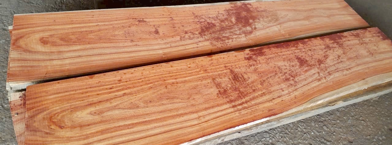 Vân gỗ Hương Tacula - African Padauk (Baphia)