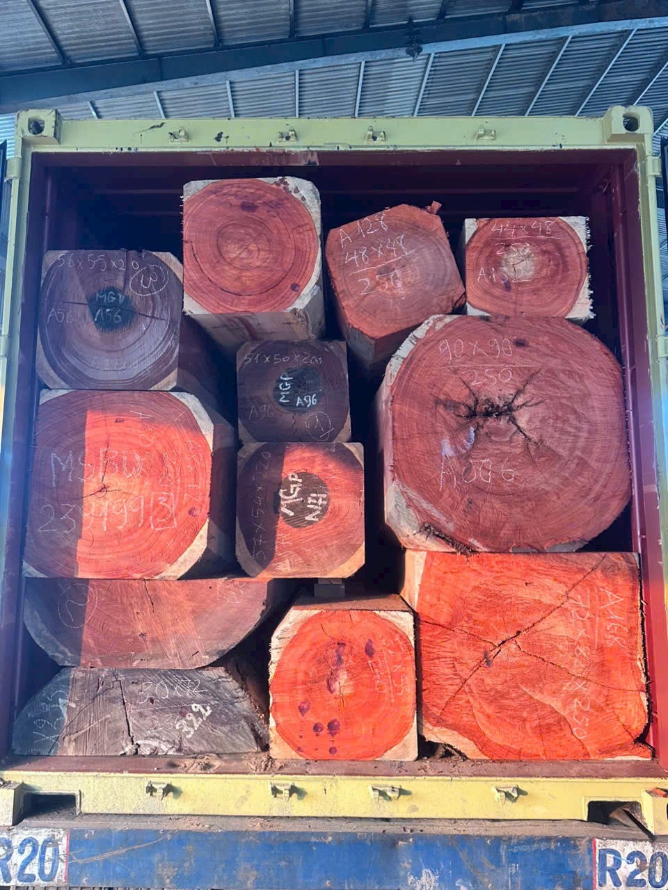 Vân gỗ Hương Padouk - Padauk