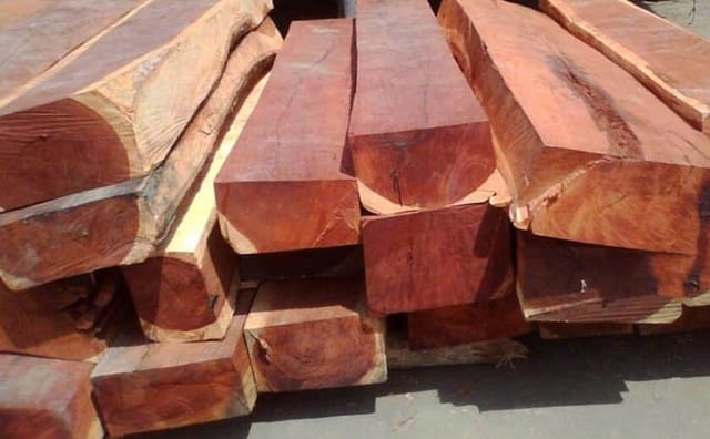 Vân gỗ Gụ - Sindora