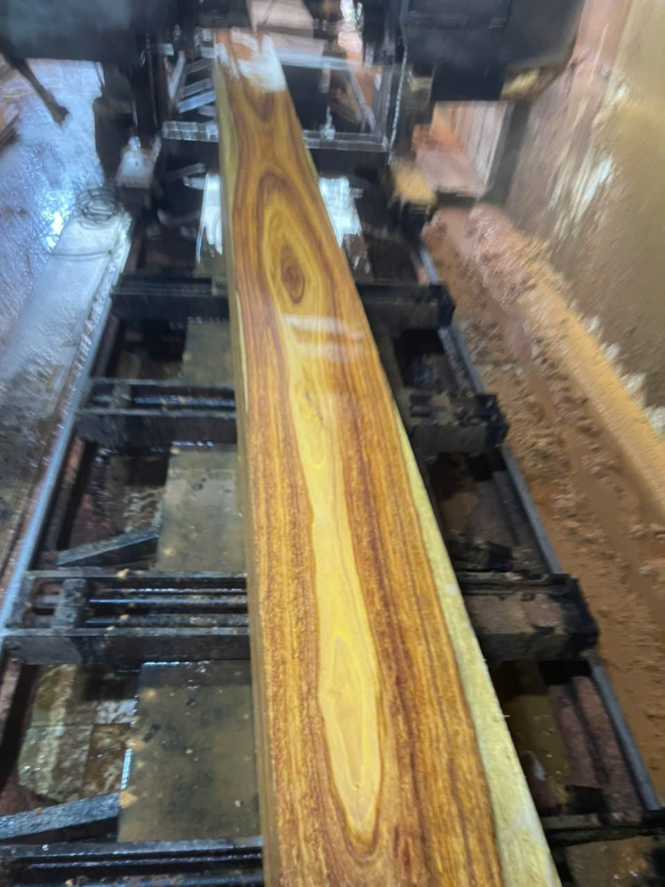 Vân gỗ Hương Vàng - Yellow Padauk