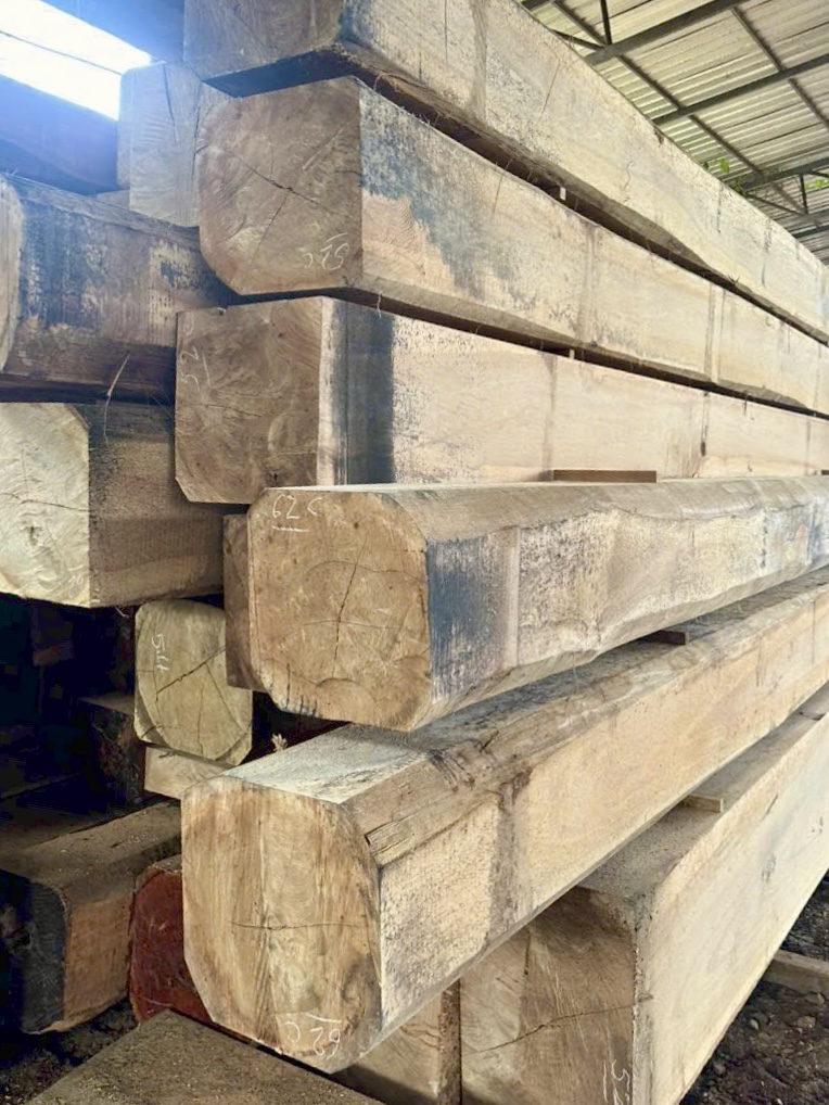 Vân gỗ Chò Chỉ - Parashorea