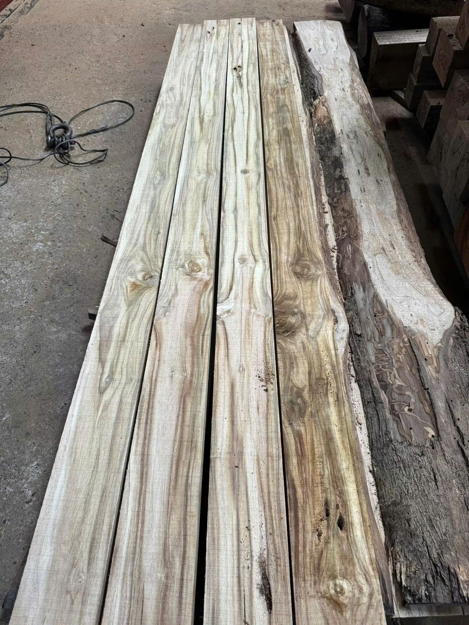 Vân gỗ Tếch - Teak