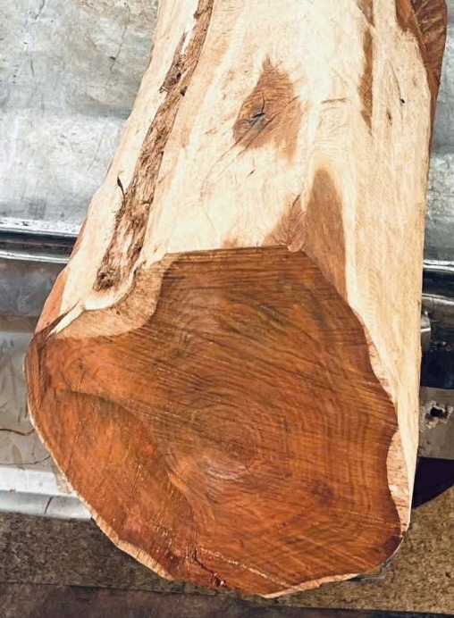 Vân gỗ Trắc - Siamese Rosewood